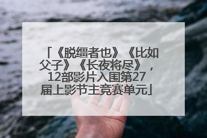 《脱缰者也》《比如父子》《长夜将尽》，12部影片入围第27届上影节主竞赛单元