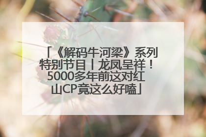《解码牛河梁》系列特别节目丨龙凤呈祥！5000多年前这对红山CP竟这么好嗑