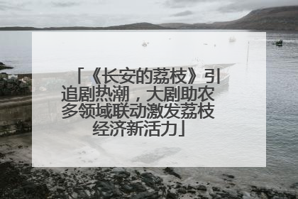《长安的荔枝》引追剧热潮，大剧助农多领域联动激发荔枝经济新活力