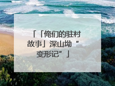 「俺们的驻村故事」深山坳“变形记”