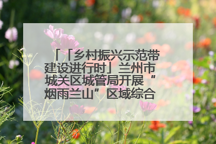 「乡村振兴示范带建设进行时」兰州市城关区城管局开展“烟雨兰山”区域综合整治专项行动