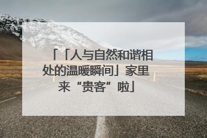 「人与自然和谐相处的温暖瞬间」家里来“贵客”啦