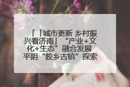「城市更新 乡村振兴看济南」“产业+文化+生态”融合发展 平阴“胶乡古镇”探索振兴路径成效显著