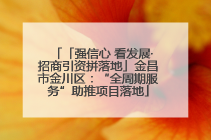 「强信心 看发展·招商引资拼落地」金昌市金川区：“全周期服务”助推项目落地