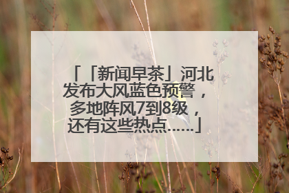 「新闻早茶」河北发布大风蓝色预警，多地阵风7到8级，还有这些热点……