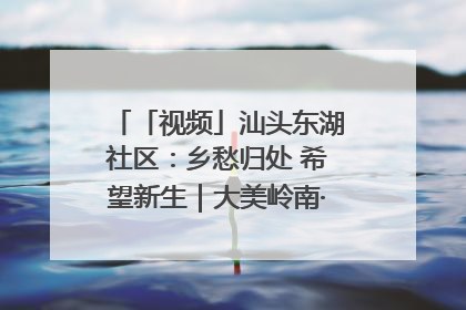 「视频」汕头东湖社区：乡愁归处 希望新生｜大美岭南·百村焕新记