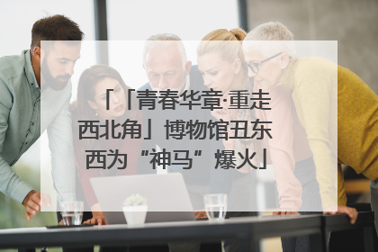 「青春华章·重走西北角」博物馆丑东西为“神马”爆火