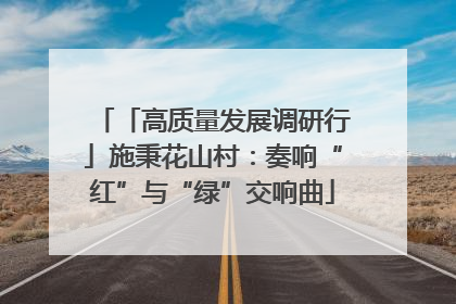 「高质量发展调研行」施秉花山村：奏响“红”与“绿”交响曲