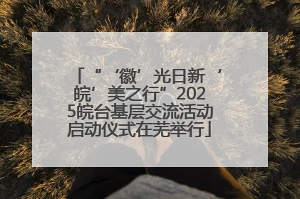 “‘徽’光日新‘皖’美之行”2025皖台基层交流活动启动仪式在芜举行