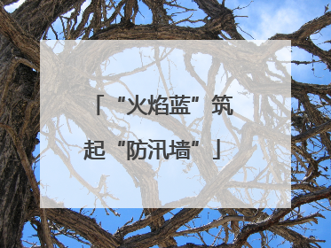 “火焰蓝”筑起“防汛墙”