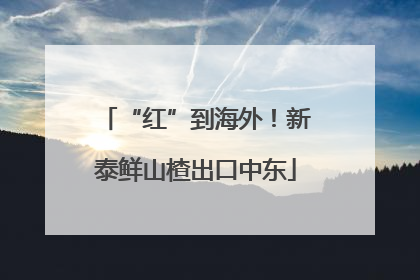 “红”到海外！新泰鲜山楂出口中东