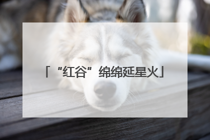 “红谷”绵绵延星火