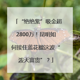 “绝绝紫”吸金超2800万！昆明如何接住蓝花楹这波“泼天富贵”？