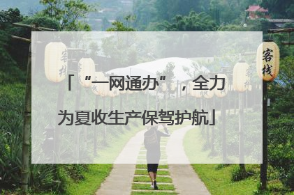 “一网通办”，全力为夏收生产保驾护航