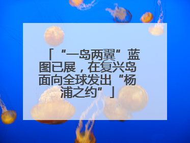 “一岛两翼”蓝图已展，在复兴岛面向全球发出“杨浦之约”