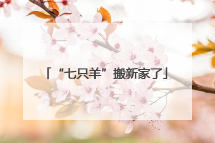 “七只羊”搬新家了