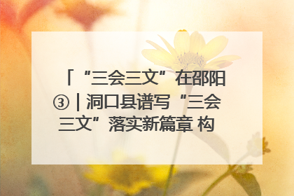 “三会三文”在邵阳③｜洞口县谱写“三会三文”落实新篇章 构建协同联动大格局