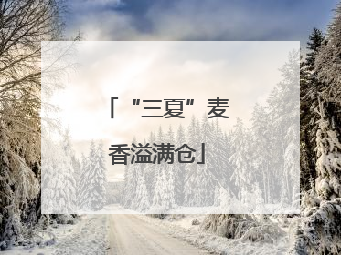“三夏”麦香溢满仓