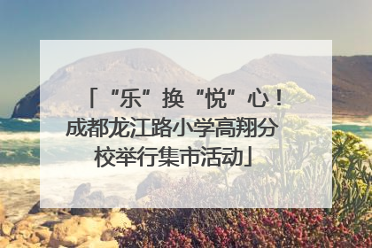 “乐”换“悦”心！成都龙江路小学高翔分校举行集市活动