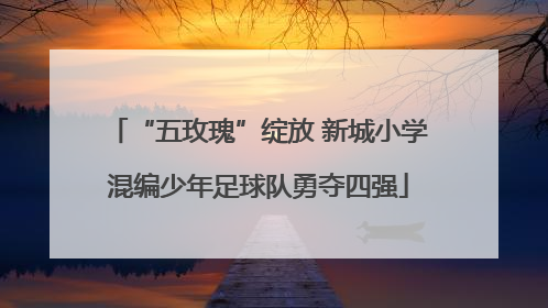 “五玫瑰”绽放 新城小学混编少年足球队勇夺四强