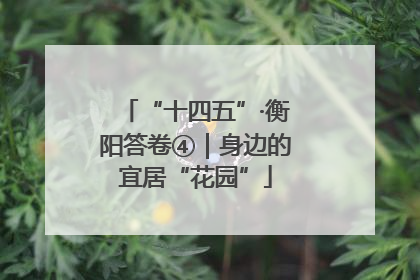 “十四五”·衡阳答卷④｜身边的宜居“花园”