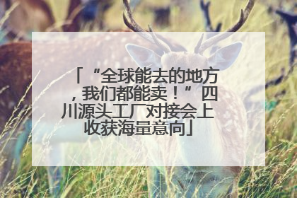 “全球能去的地方，我们都能卖！”四川源头工厂对接会上收获海量意向