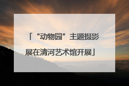 “动物园”主题摄影展在清河艺术馆开展
