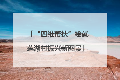 “四维帮扶”绘就莲湖村振兴新图景