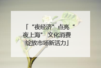 “夜经济”点亮“夜上海” 文化消费绽放市场新活力