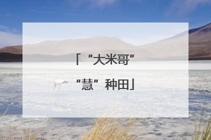 “大米哥”“慧”种田