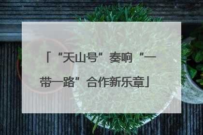 “天山号”奏响“一带一路”合作新乐章