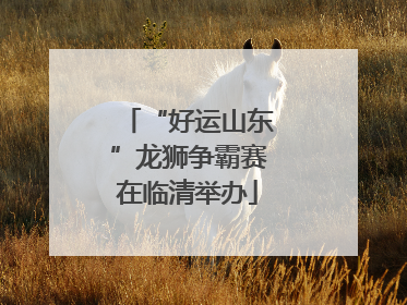 “好运山东”龙狮争霸赛在临清举办