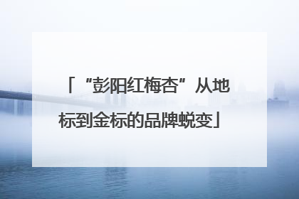 “彭阳红梅杏”从地标到金标的品牌蜕变
