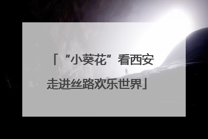 “小葵花”看西安走进丝路欢乐世界