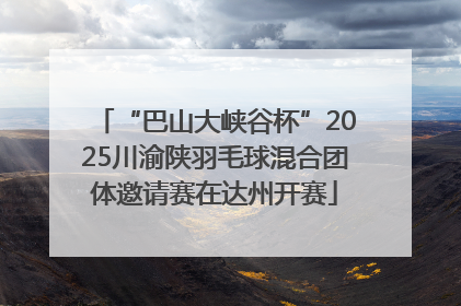 “巴山大峡谷杯”2025川渝陕羽毛球混合团体邀请赛在达州开赛