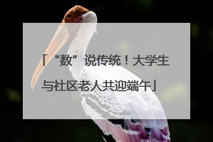 “数”说传统！大学生与社区老人共迎端午
