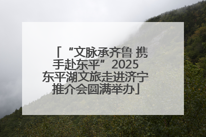 “文脉承齐鲁 携手赴东平”2025东平湖文旅走进济宁推介会圆满举办