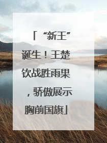 “新王”诞生！王楚钦战胜雨果，骄傲展示胸前国旗