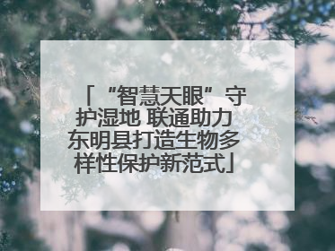 “智慧天眼”守护湿地 联通助力东明县打造生物多样性保护新范式