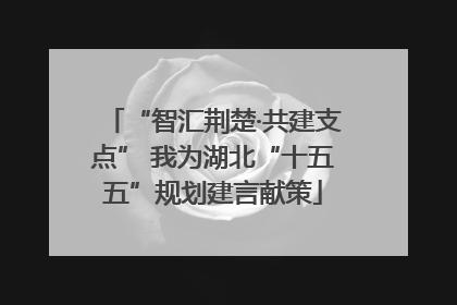 “智汇荆楚·共建支点” 我为湖北“十五五”规划建言献策