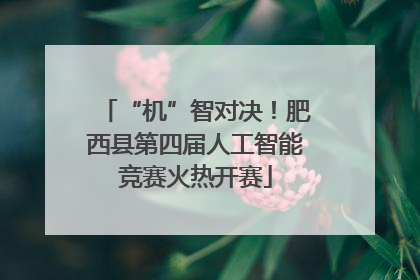 “机”智对决！肥西县第四届人工智能竞赛火热开赛