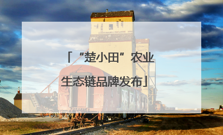 “楚小田”农业生态链品牌发布