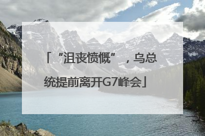 “沮丧愤慨”，乌总统提前离开G7峰会