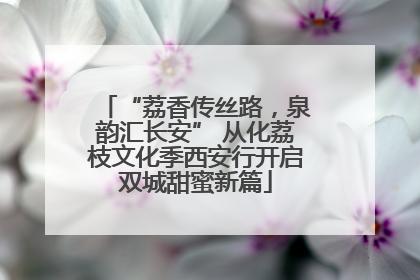 “荔香传丝路，泉韵汇长安” 从化荔枝文化季西安行开启双城甜蜜新篇