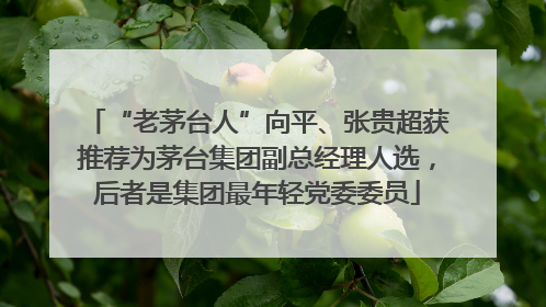 “老茅台人”向平、张贵超获推荐为茅台集团副总经理人选，后者是集团最年轻党委委员