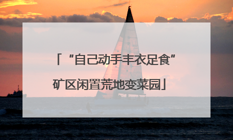 “自己动手丰衣足食”矿区闲置荒地变菜园