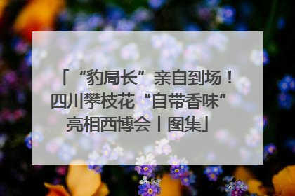 “豹局长”亲自到场！四川攀枝花“自带香味”亮相西博会丨图集