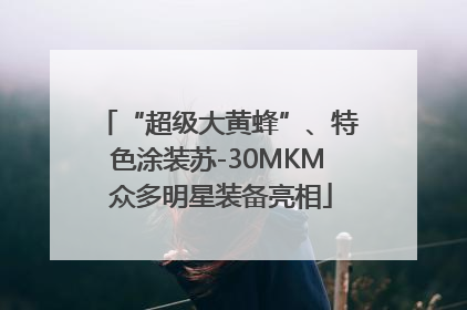 “超级大黄蜂”、特色涂装苏-30MKM 众多明星装备亮相