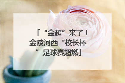 “金超”来了！金陵河西“校长杯”足球赛超燃