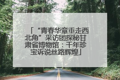 “青春华章重走西北角”采访团探秘甘肃省博物馆：千年珍宝诉说丝路辉煌